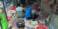 Cerita Sulastri Pengupas Bawang di Kramat Jati Jaktim, Diupah Rp 3.000 Per Kilogram