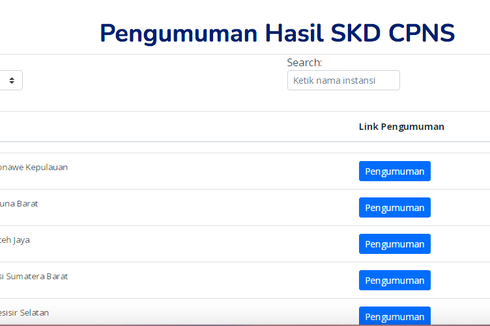 Update Daftar Instansi yang Umumkan SKD CPNS Tahap 2 pada 13-14 November 2021