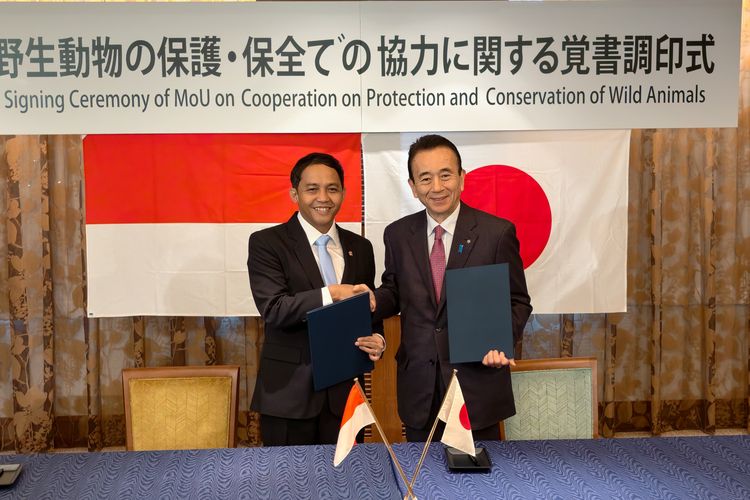 Indonesia-Jepang Sepakati Kerja Sama Terkait Konservasi Komodo