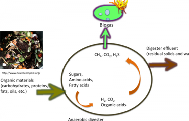 Pencernaan anaerobik dalam pembuatan biogas