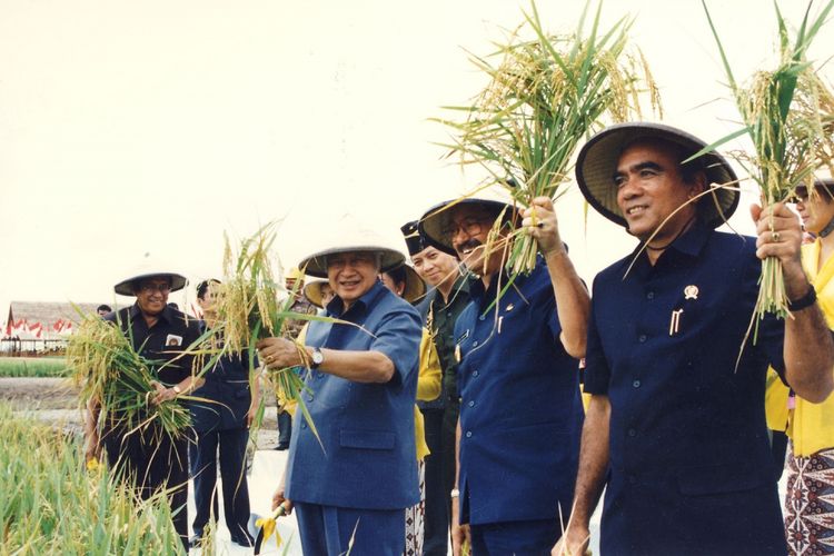 Presiden Soeharto, Kamis (6/3) di Karang Agung, Musi Banyuasin, Sumatera Selatan, melakukan panen di sawah gambut pasang surut, yang luasnya sekitar 360.000 ha. 