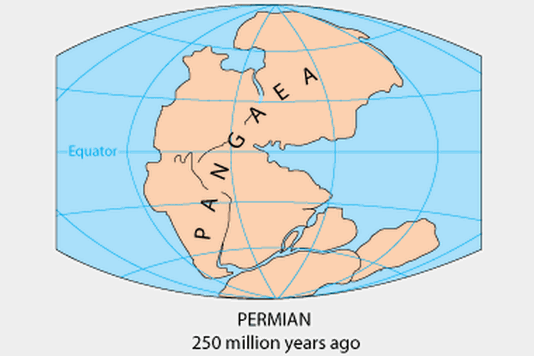 Superbenua Pangea yang merupakan asal muasal benua modern