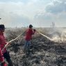 Restorasi Gambut Perlu Dilanjutkan untuk Cegah Karhutla di Lahan Gambut