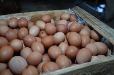 [POPULER MONEY] Jelang Nataru, Harga Telur Ayam Naik Tembus Rp 32.200 Per Kg | PPN QRIS Ditanggung "Merchant"