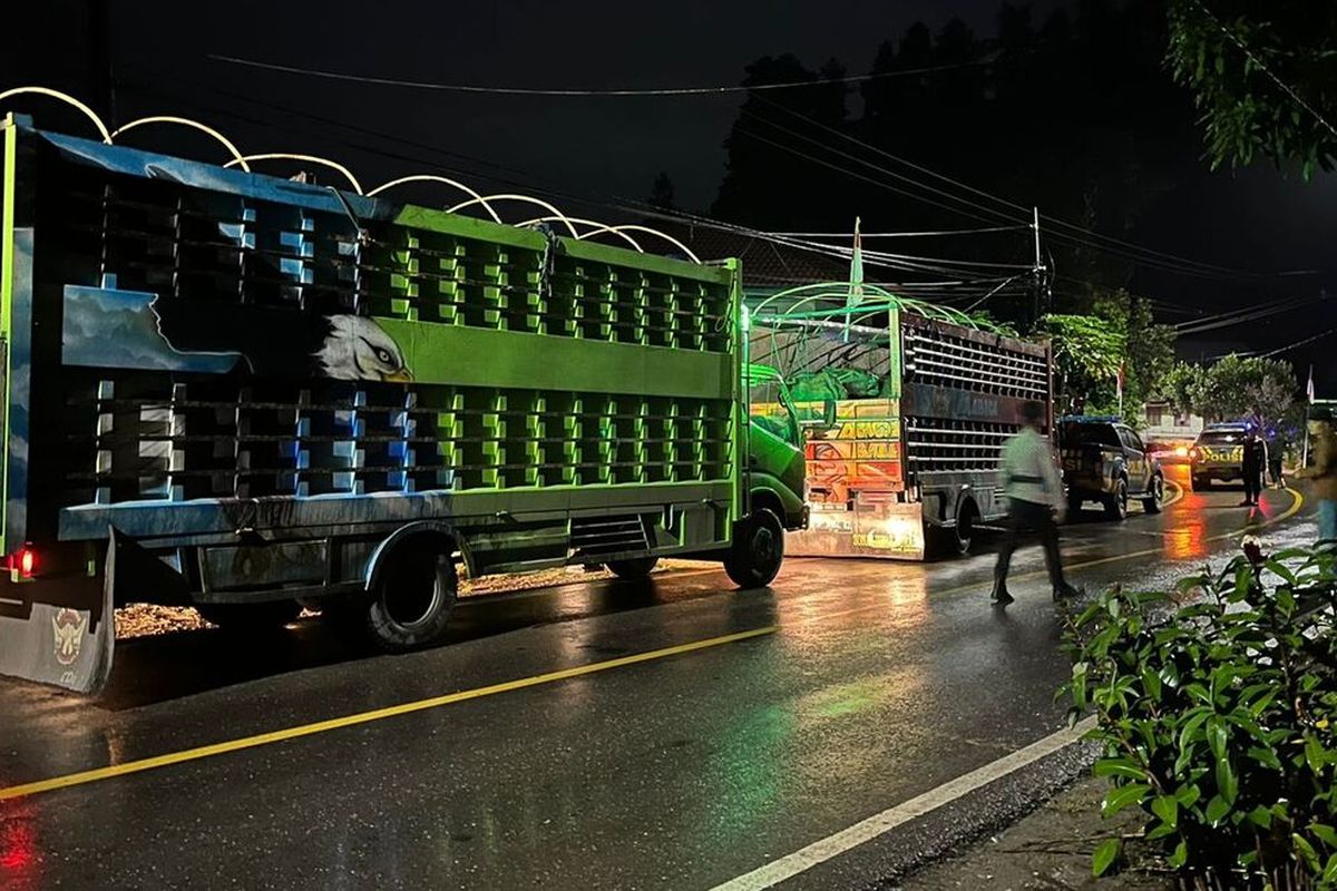 Polres Tana Toraja, Sulawesi Selatan mengawal pemulangan 2 truk berisi 19 ekor Kerbau asal Kabupaten Jeneponto Sulawesi Selatan, Rabu (10/8/2022) malam