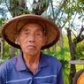 Tak Miliki Kartu Tani Sejak 2015, Petani di Tegal Kesulitan Peroleh Pupuk Subdisi