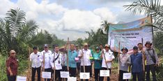 Laksanakan Program Kesatria di OKI, Kementan Tanam Padi Gogo di Kebun Sawit dan Kelapa