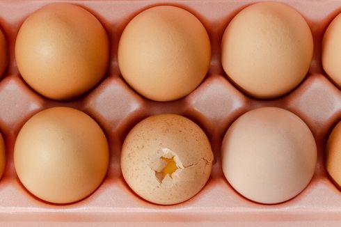 Bahaya Mengonsumsi Telur Mentah