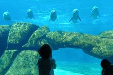 Mentan Amran dan Kasal Lepas Bantuan Tahap III Rp 1,2 Triliun untuk Korban Bencana di Sumatera