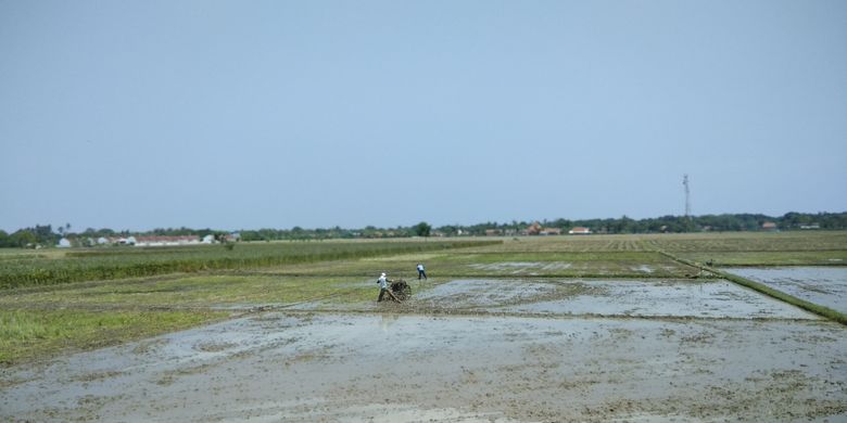 Petani-petani tengah membajak sawah di daerah Rengasdengklok, Karawang, Jawa Barat, Sabtu (19/8/2017). Rengasdengklok dikenal sebagai salah satu penghasil beras di Pulau Jawa sejak jaman penjajahan Belanda.