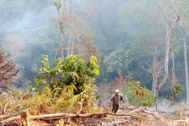 Api Padam Setelah 200 Hektar Lahan di Desa Paku Polman Hangus Terbakar