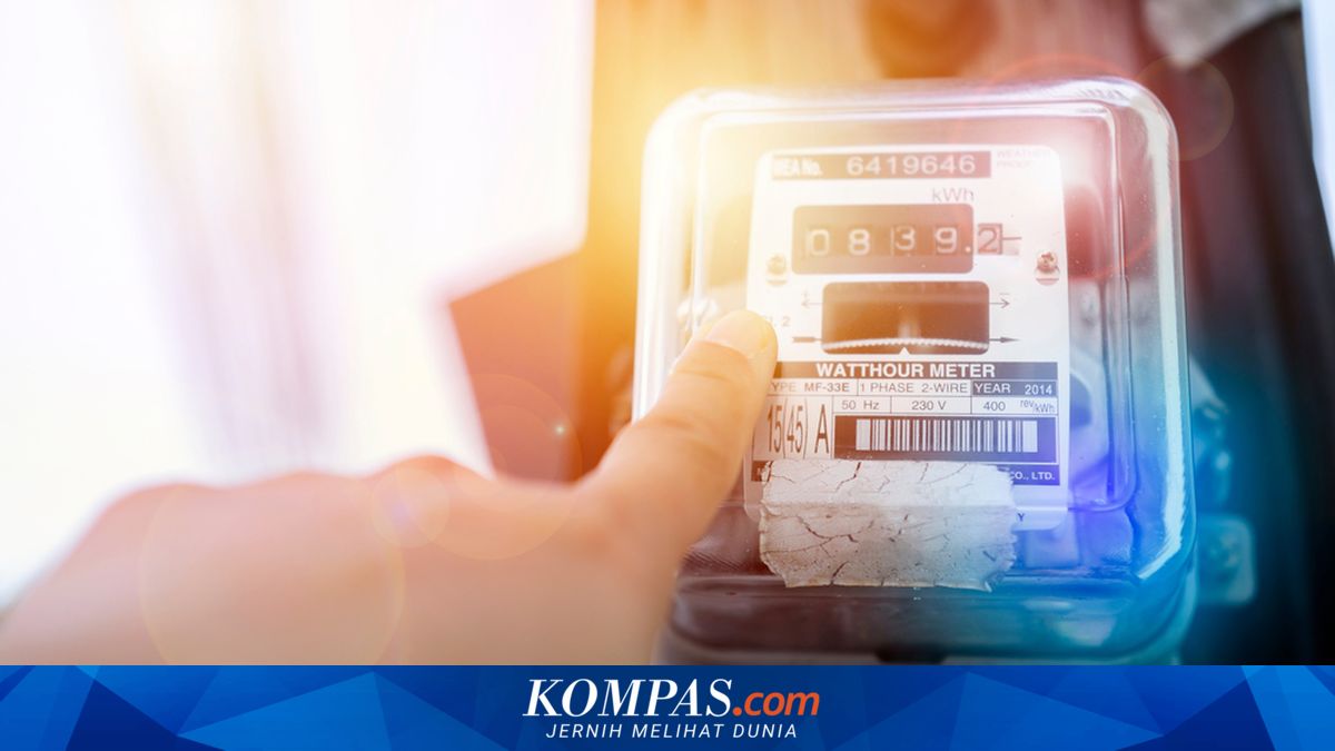 Istana Sebut Tarif Listrik Harusnya Naik