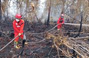 Karhutla 4 Hektar di Dekat Akses Bandara Singkawang Padam, Petugas Cari Sisa Api Kecil