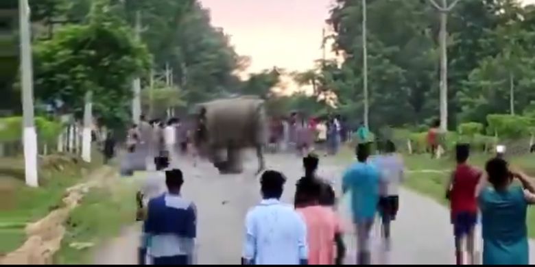 Potongan video yang diunggah akun Twitter bernama Parveen Kaswan menunjukkan seekor gajah menyerang dan menginjak seorang manusia hingga tewas di Assam, India.