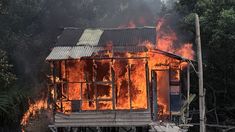 TNI AL Gerebek dan Bakar Gubuk Narkoba di Belawan, 7 Orang Ditangkap