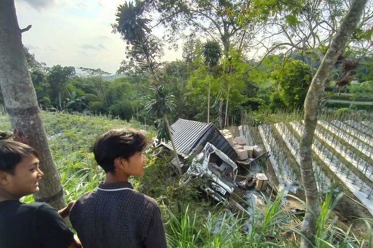 Truk boks muatan rumput laut ringsek di lahan cabai di daerah Sawangan, Kabupaten Magelang, Jawa Tengah, Jumat (9/6/2023).