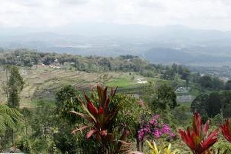 Panorama alam dan hamparan sawah di Batutumonga, Kabupaten Toraja Utara, Sulawesi Selatan, Senin (17/11/2014).