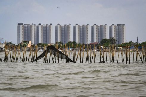 Kasus Pagar Laut: Diamnya BPK dan Ilusi Tanpa Kerugian Negara