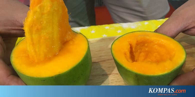 Apa Itu Mangga Alpukat?