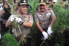 Polri Sediakan Helikopter untuk Pantau Ladang Ganja di Aceh
