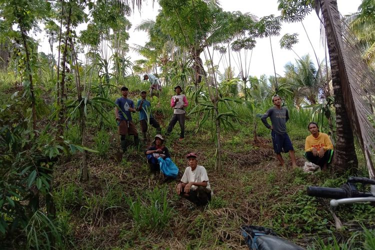 Setiap hari Jumat kelompok tani hutan Nantu Lestari pimpinan Kang Gepeng bergotong royong (mohuyula) menanami kebun anggotanya dengan tanaman tahunan bernilai ekonomi tinggi. Mereka bersama-sama mewujudkan pertanian berkelanjutan.