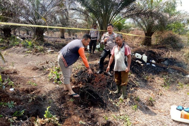 Seorang petani berinisial JK(48) diamankan polisi sektor bukit kapur karena diduga melakukan kelalaian yang menyebabkan kebakaran lahan seluas 1 hektar(dokumentasi humas polres dumai)