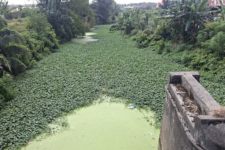 Cemari Sungai di Bengkulu Pabrik CPO Disanksi Administratif, Jika Terus Melanggar Diancam Penegakkan Hukum