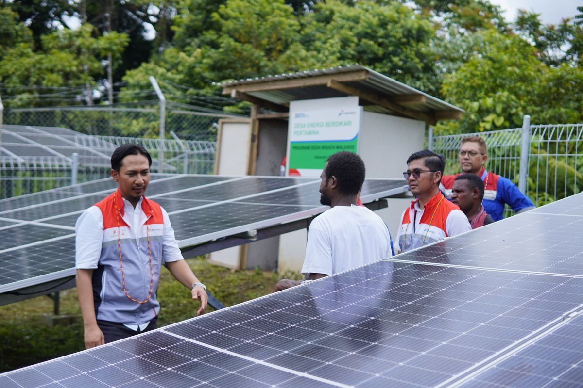 PLTS yang dipasang di Desa Berdikari Energi