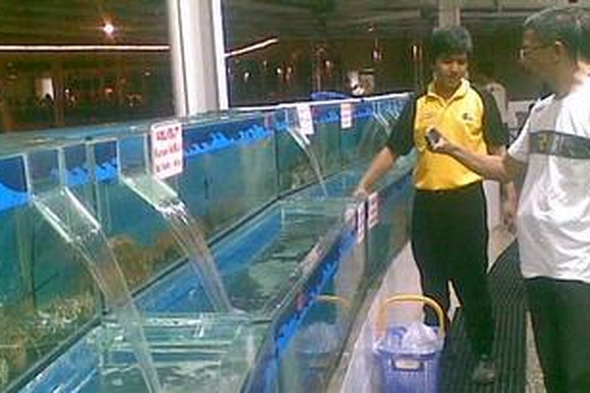 Pasar ikan Bandar Djakarta menyediakan puluhan jenis ikan dari berbagai penjuru nusantara dan luar negeri.