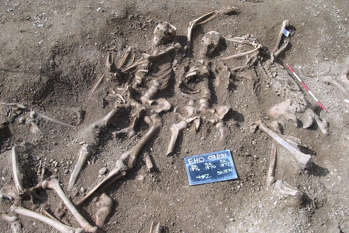 Kerangka bangsa Viking di sebuah pemakaman massal. Peneliti ungkap asal-usul penyakit cacar, dari pemeriksaan DNA pada tulang dan gigi ditemukan virus cacar kuno.