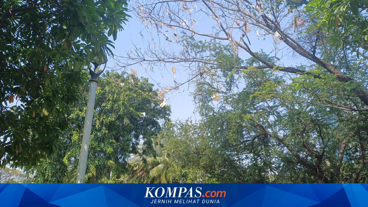 Ganggu Pengguna Jalan, Layangan Nyangkut di Pepohonan Jakut Akan Dibersihkan