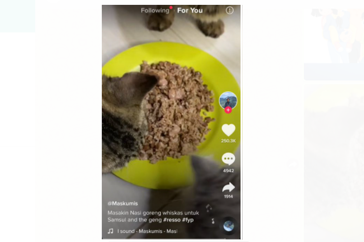 Tangkapan layar unggahan kucing sedang makan nasi goreng yang terbuat dari nasi dan campuran pakan kucing.
