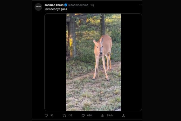 Seekor rusa terlihat seperti memakan ular yang kemudian videonya menjadi viral di media sosial.