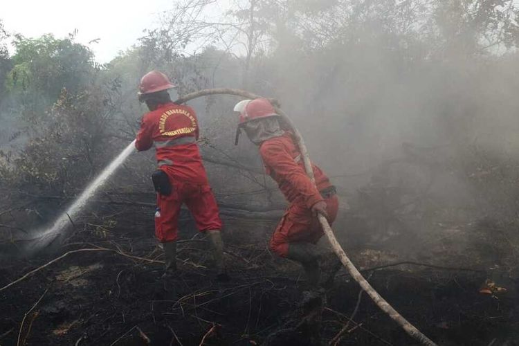 Ribuan Titik Panas Muncul, Kemenhut Gelar Operasi Modifikasi Cuaca di Sumsel Selama 12 Hari