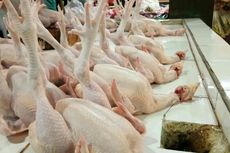 Pedagang: Harga Daging Ayam Naik Rp 1.000 Saja Pembeli Ngeluh, Ini Naiknya Luar Biasa, Jadi Sepi