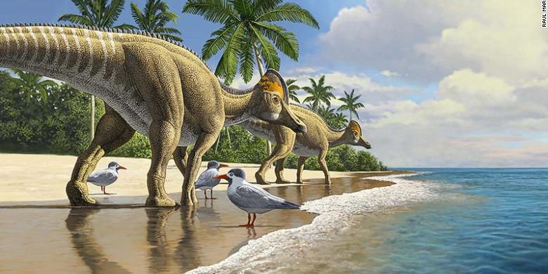 Evolusi Ajnabia odysseus (dinosaurus berparuh bebek) bermula di Amerika Utara, sebelum menyebar ke Asia, Eropa, dan kemudian Afrika.
