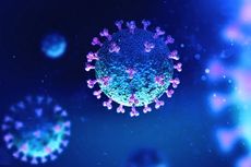 Setahun Pandemi, Mutasi Virus Corona B.1.1.7 Diumumkan Masuk RI