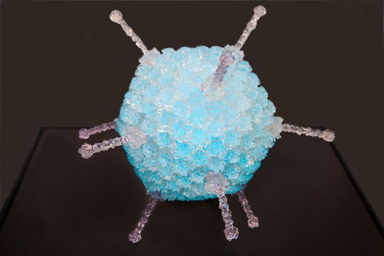 Ilustrasi adenovirus. Manfaat virus ini jamak digunakan untuk terapi target dalam pengobatan kanker. 