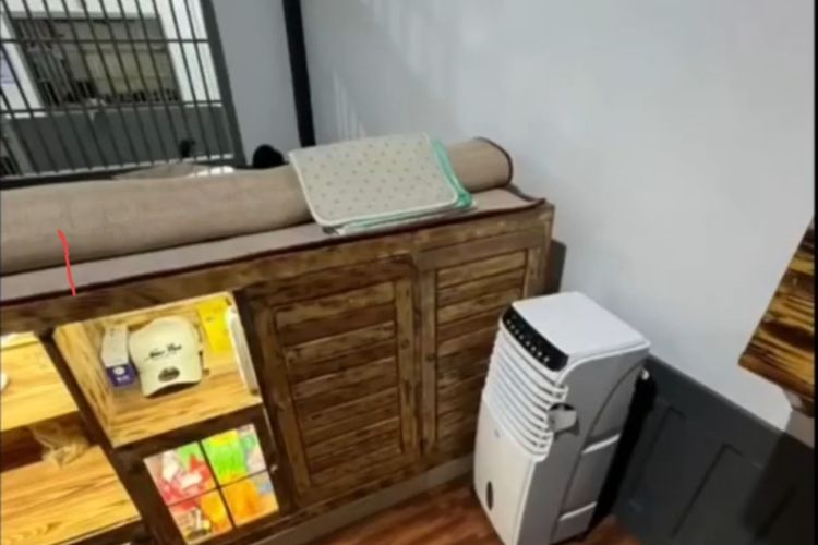 Video Viral Sel Mewah Lapas Cilegon Dibantah, Ditjenpas Tegaskan Fakta Sebenarnya