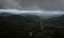 Perubahan Iklim dan Deforestasi Ubah Hutan Amazon Menjadi Sabana dalam Waktu Seabad