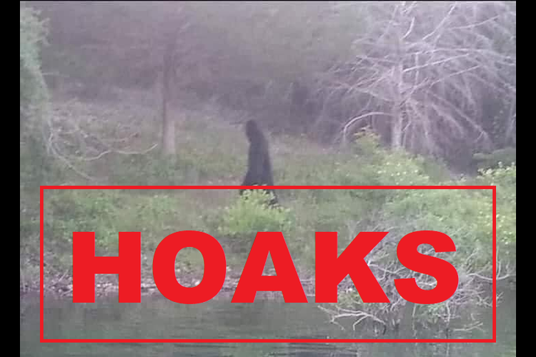 Hoaks, penampakan Bigfoot di Purwokerto, Jawa Tengah
