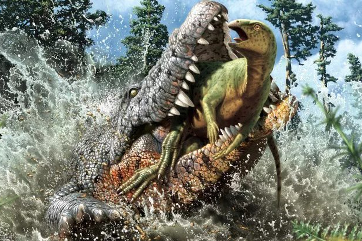 Ilustrasi buaya purba memangsa dinosaurus ornithopod. Fosil buaya purba ditemukan dengan sisa dinosaurus yang disantapnya.