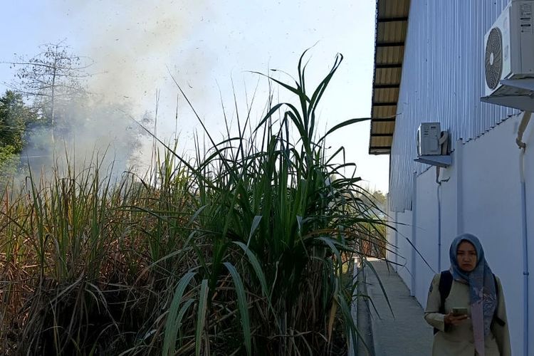 Gerai KDMP di Blitar Nyaris Terbakar dalam Kebakaran Lahan Tebu