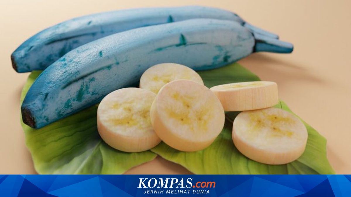 Blue Java, Pisang Biru yang Rasanya Mirip Es Krim Vanila