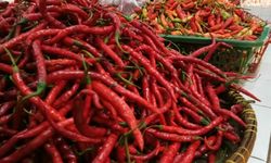 Ini 5 Mitra Petani untuk Distribusi Cabai dan Bawang