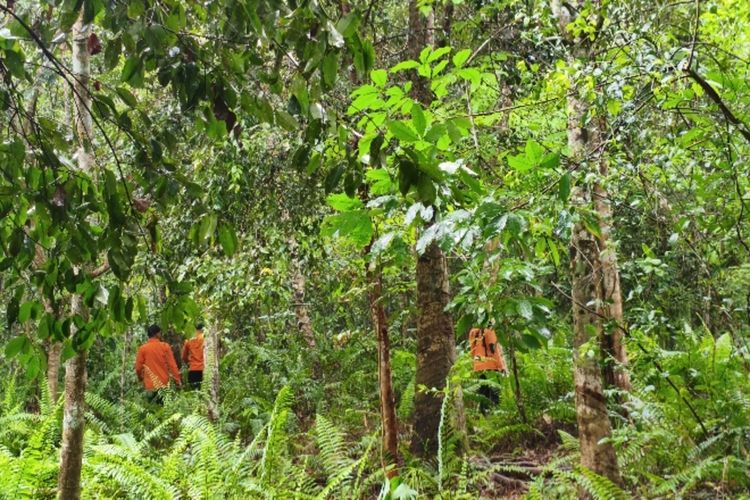 Pria 72 Tahun Hilang Misterius di Kebun Karet Meranti, Istrinya Hilang Kontak