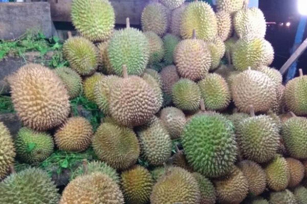 Buah durian