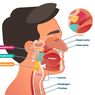 10 Tanda-tanda Kanker Nasofaring yang Perlu Diwaspadai