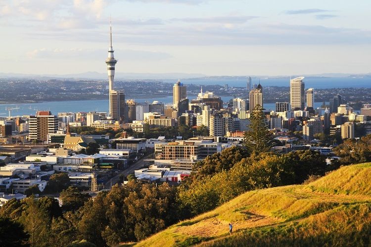 Ilustrasi Selandia Baru - Pemandangan Kota Auckland di Selandia Baru.