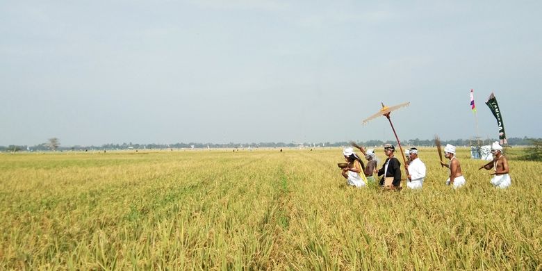 Indonesia Sebagai Negara Agraris Apa Artinya Halaman All Kompas Com